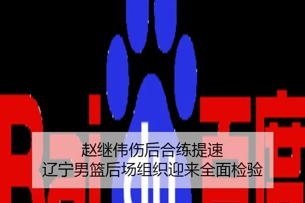 赵继伟伤后合练提速 辽宁男篮后场组织迎来全面检验
