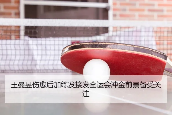 王曼昱伤愈后加练发接发全运会冲金前景备受关注